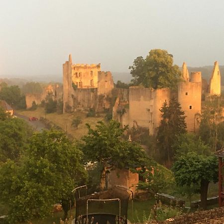 Chez Fred Avec Vue Sur Le Chateau Angles-sur-lʼAnglin Extérieur photo