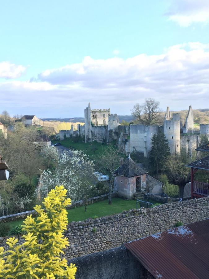 Chez Fred Avec Vue Sur Le Chateau Angles-sur-lʼAnglin Extérieur photo