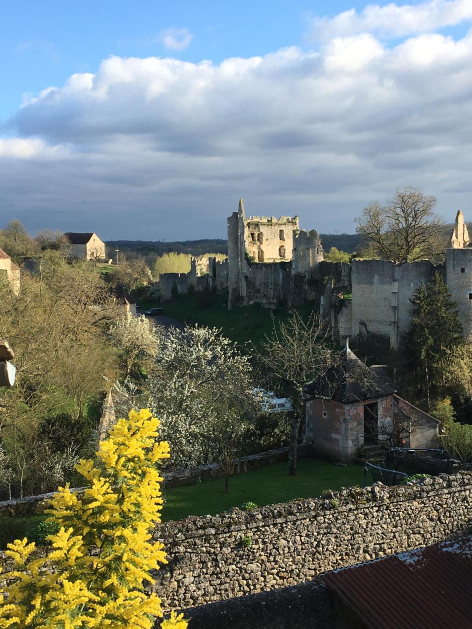 Chez Fred Avec Vue Sur Le Chateau Angles-sur-lʼAnglin Extérieur photo